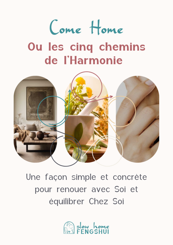 Guide d'Harmonisation "Come Home"